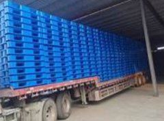 <b>蓝冠注册湖北塑料托盘哪家好？五大亮点别错过</b>