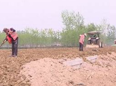 蓝冠注册官网,蓝冠注册页面