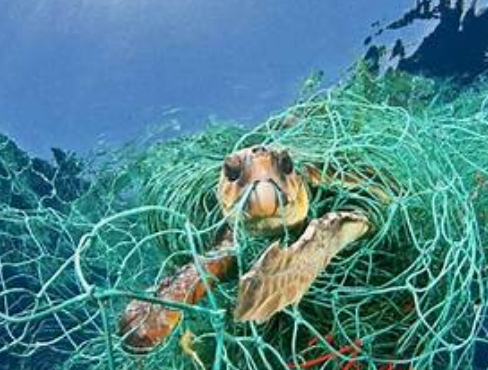 蓝冠产品线,蓝冠有信誉吗？